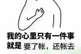 章贡企业清欠服务